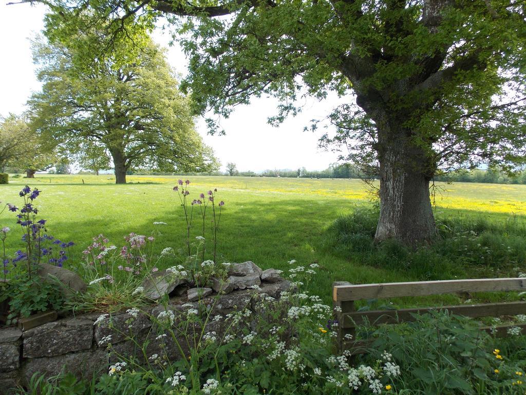 Ash Hill B & B Kilmallock Room photo