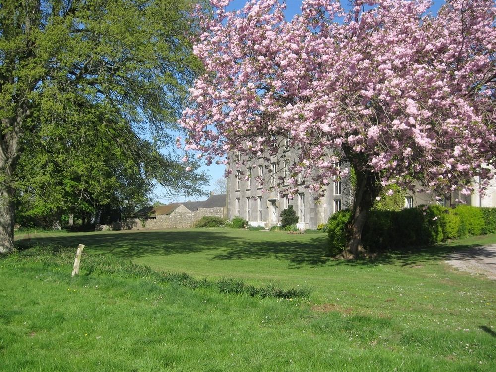 Ash Hill B & B Kilmallock Exterior photo