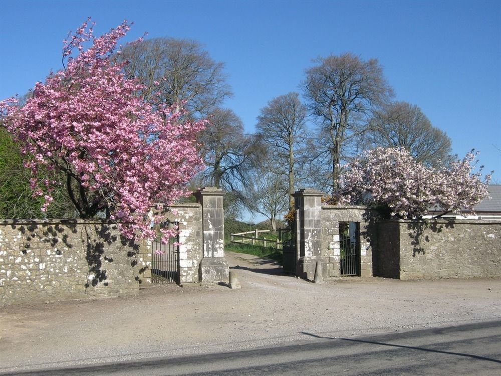 Ash Hill B & B Kilmallock Exterior photo